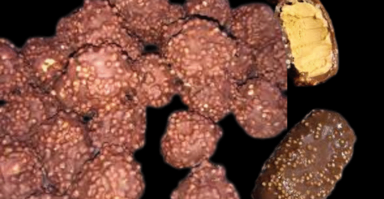 Chokito Caseiro