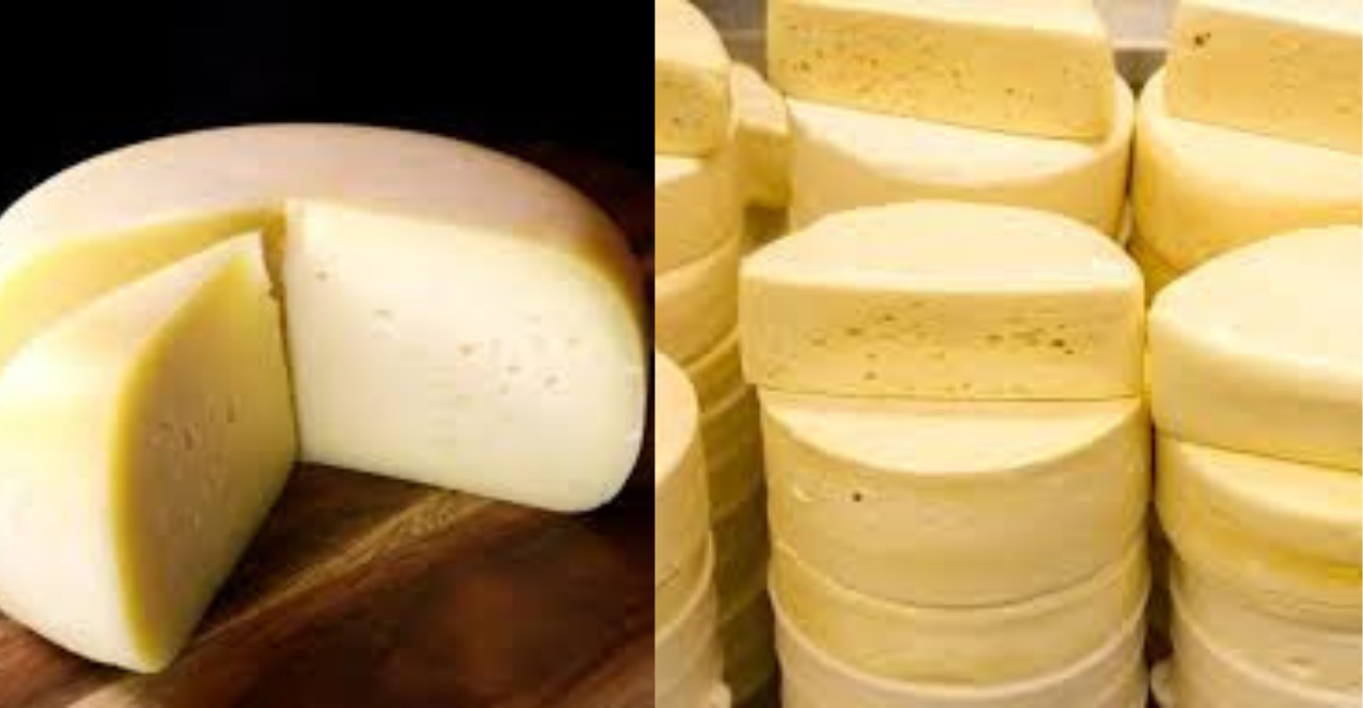 Queijo colonial